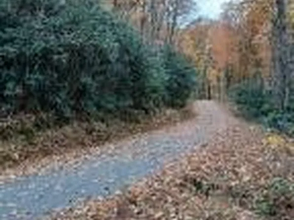 3 Rocky Ridge Rd Lot 9207/3, Cosby, TN 37722