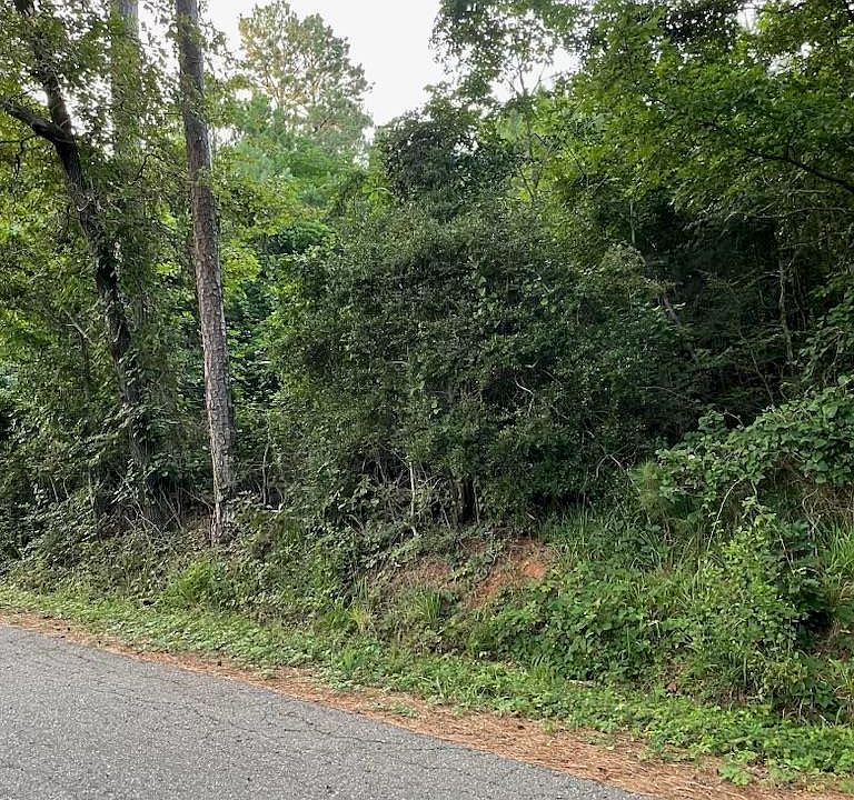 2nd image of County Road 4705