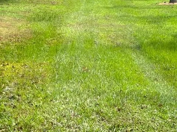 2531 Dad Weldon Rd #9, Dover, FL 33527