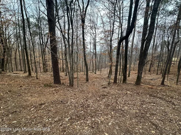 276 Columbine Dr Lot 2, Jacksons Gap, AL 36861