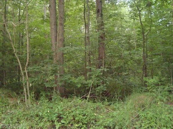 6474 Woodtrail Ct, Whitehall, MI 49461