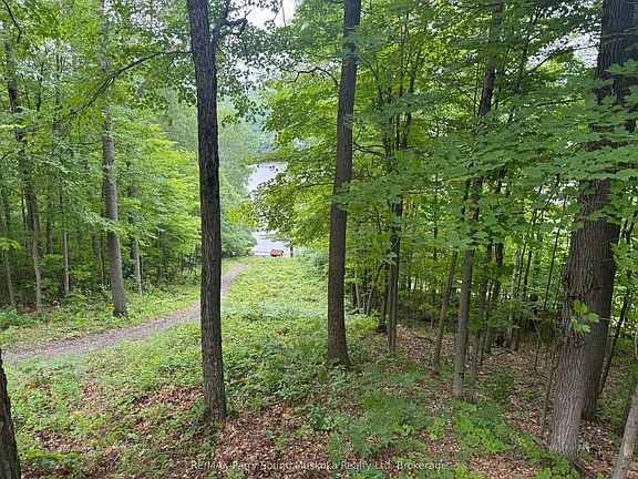 5th image of 1117 Limberlost Point Rd