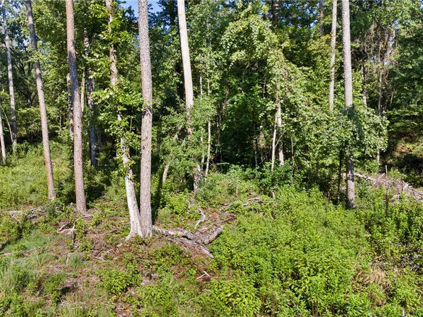 0 Welcome Home Rd, Hector, AR 72843