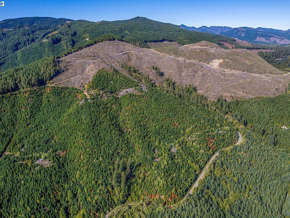 Usfs 81 Rd, Cougar, WA 98616 MLS 23359978 Zillow