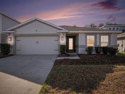 18400 Hunters Meadow Walk, Land O Lakes, FL, 34638