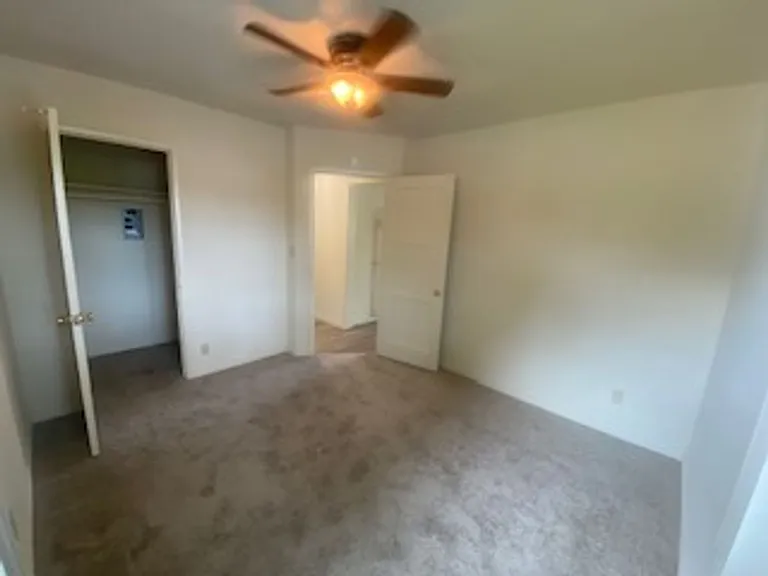 1037 Emerald St — Photo 6