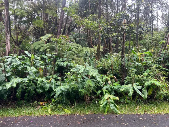 3rd St Lot 290, Volcano, HI 96785