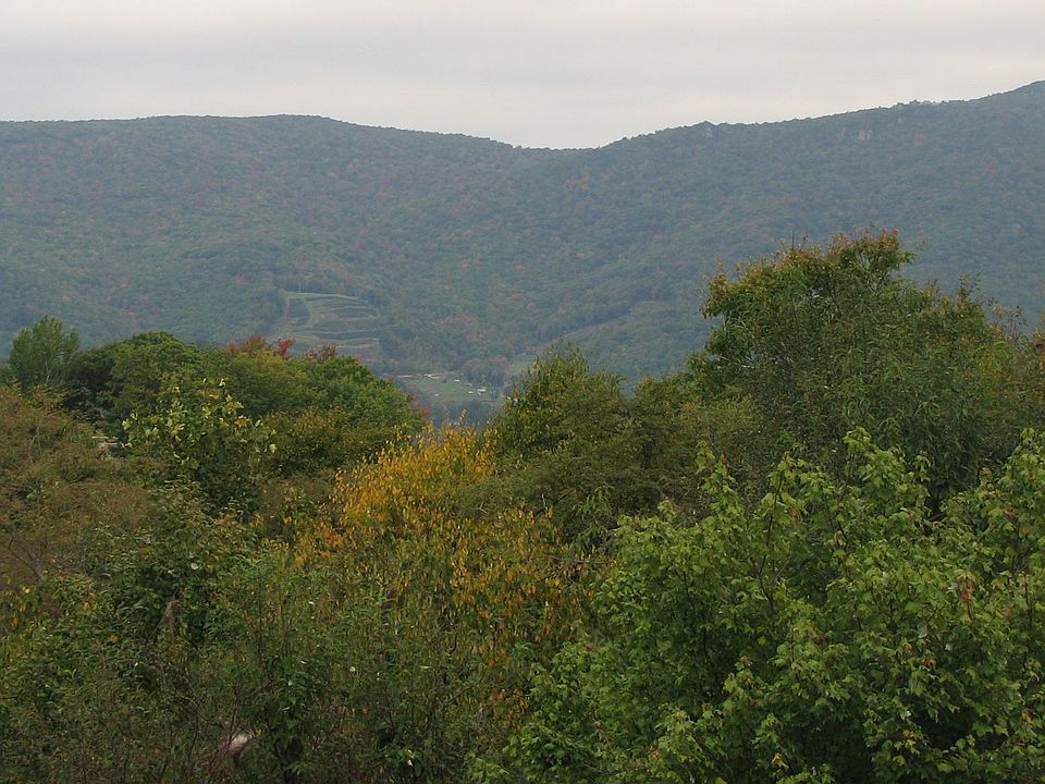 Summer View