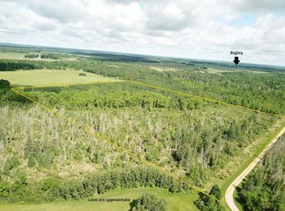 Mud Lake Rd, Bagley, MN 56621