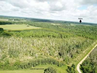 Mud Lake Rd, Bagley, MN, 56621