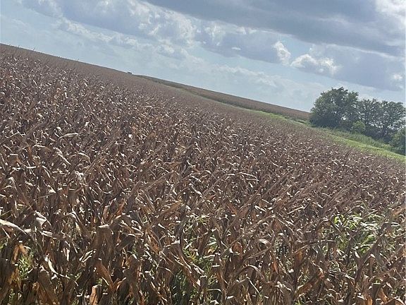 5th image of County Road 451 Bruceville