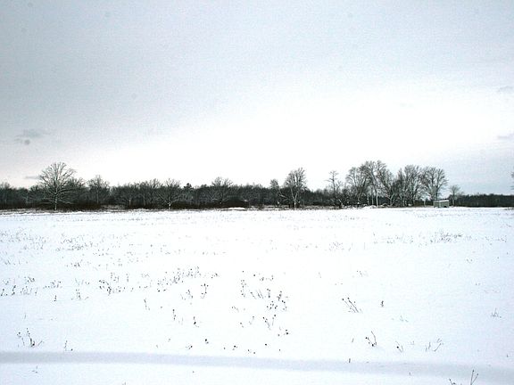4th image of Xxxx Hwy #169