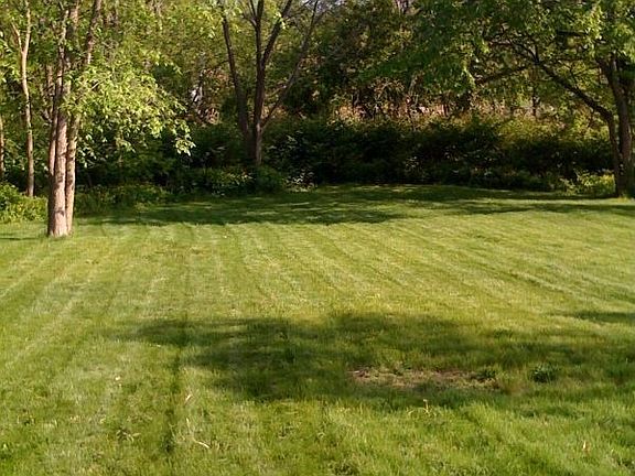 View of side yard