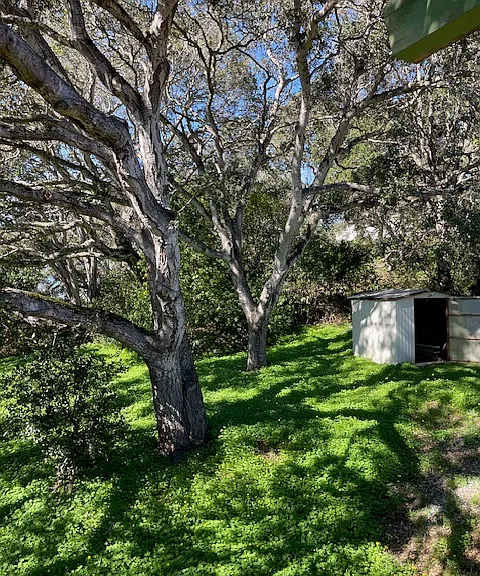 6525 Brookdale Dr — Photo 12
