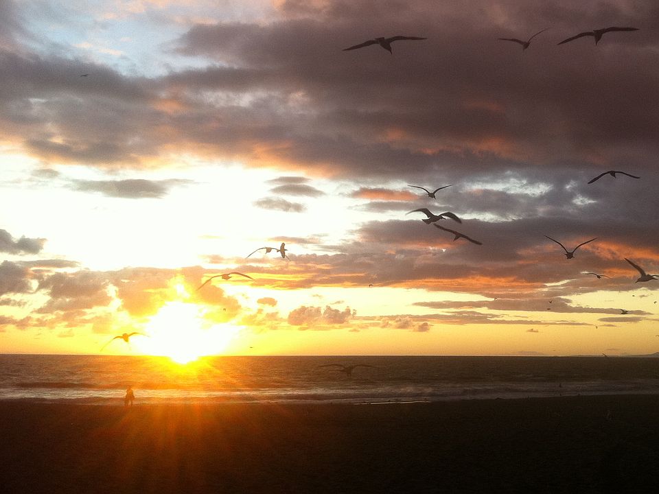 Taken in front Steps to sand