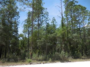 14190 SE 23rd Pl, Morriston, FL 32668