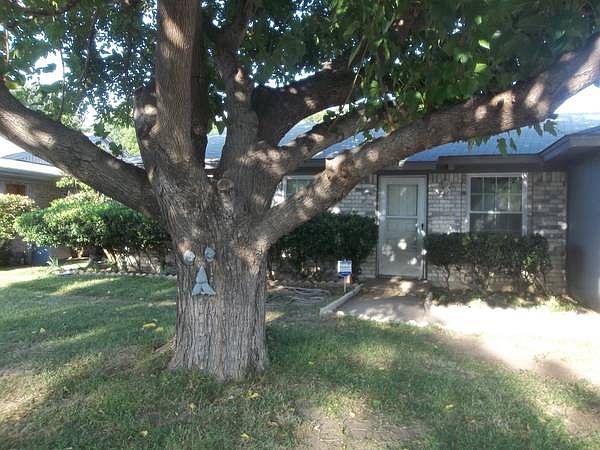 Front Yard 1