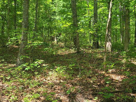 3rd image of 32-33 Gold Pond Way
