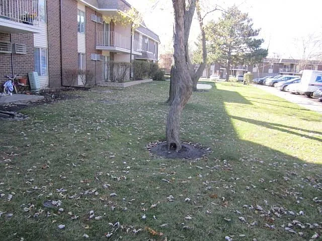 1147 Miller Ln #201 — Photo 16