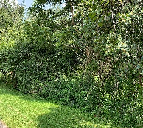 3rd image of 0 Rye Bluff Road