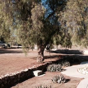 23656 Gunther Rd, Sun City, CA, 92585