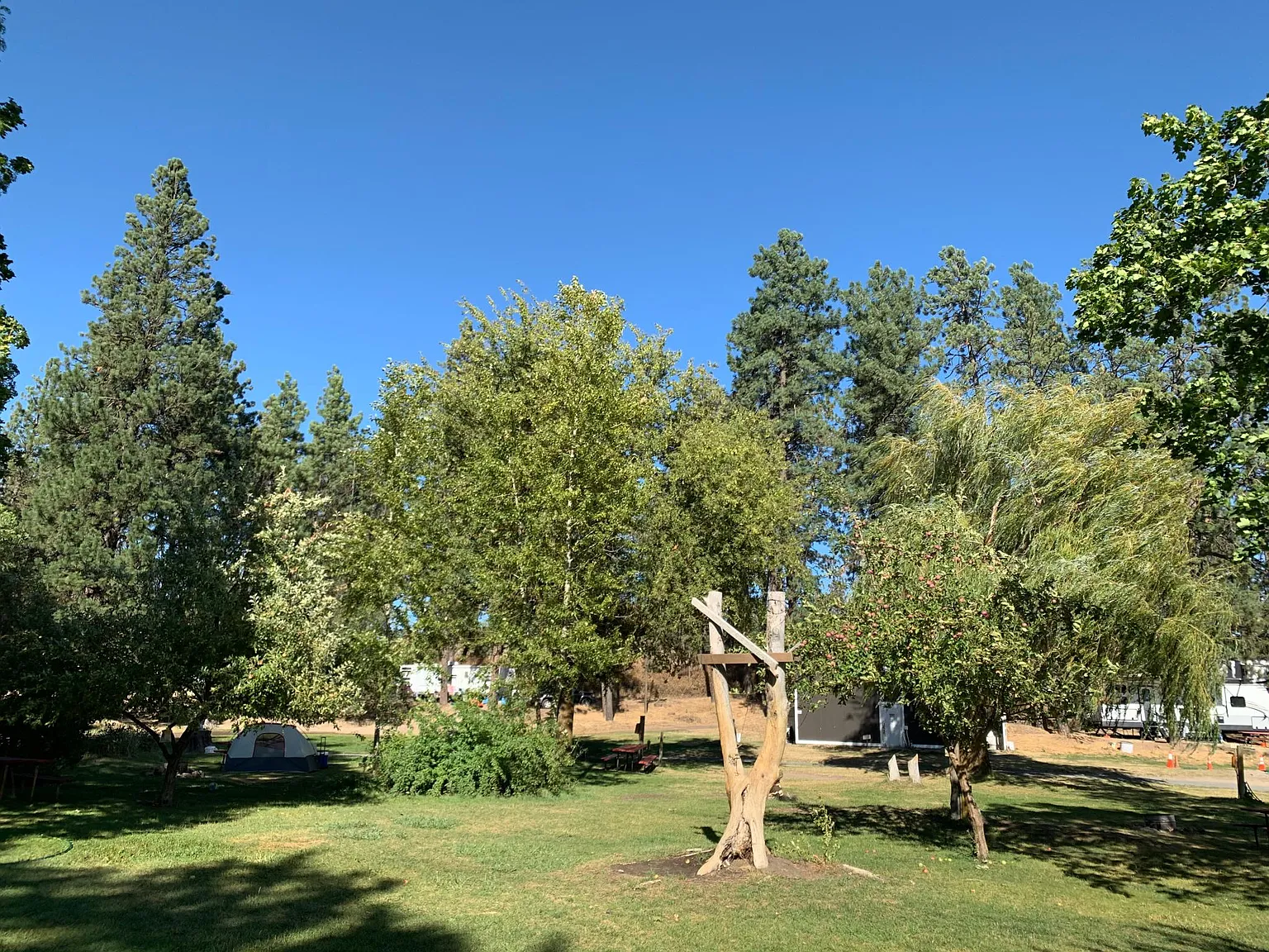 2 bed, 850 sqft, $1,660 — Photo 4