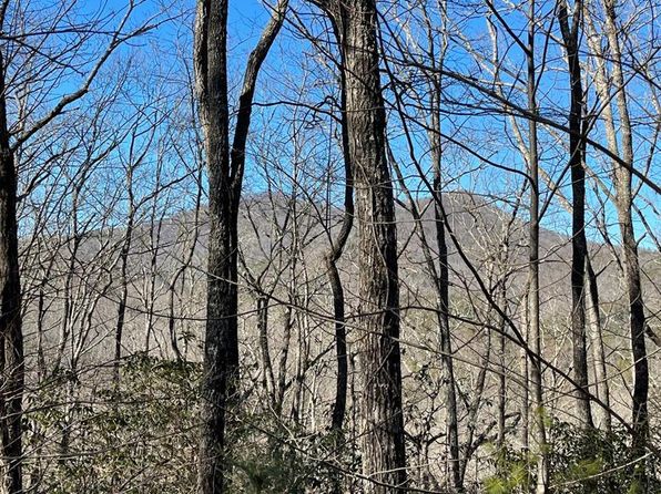 Brasstown Bald Hiawassee Real Estate 109 Homes For Sale Zillow