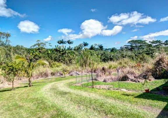 2nd image of 17354 Puna Macadamia