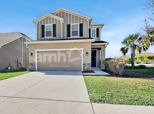 11205 Delicate Rose Ct, Riverview, FL 33578