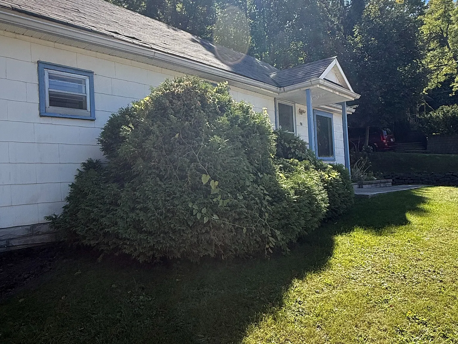 3 bed, $2,650 — Photo 1