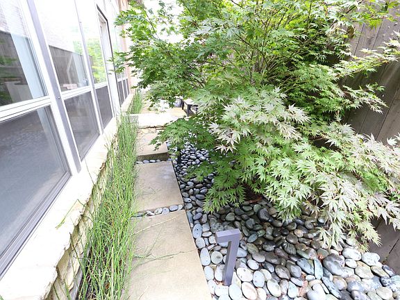 Japanese Maple along one side