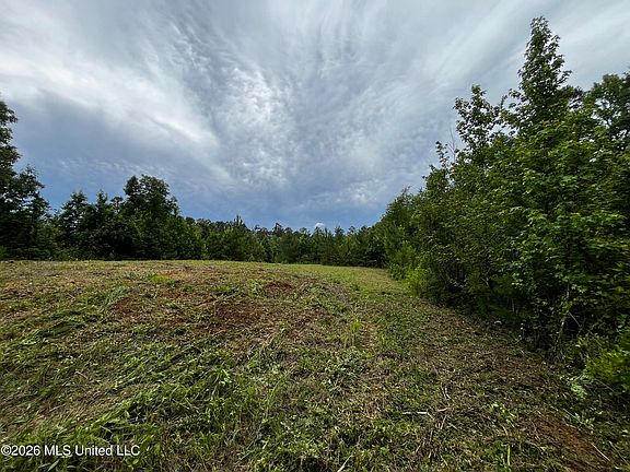 3rd image of Cline Rd Lot 3