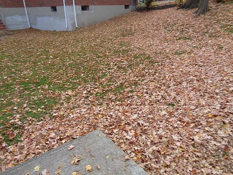 Oxford Ave — Photo 9