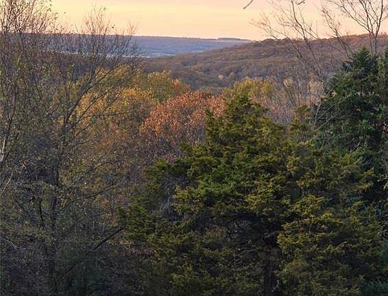 3rd image of 11561 Old Apple Hill Rd