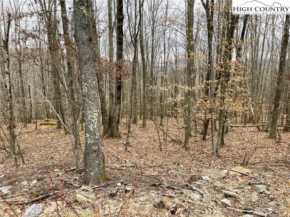 222 Wild Daisy Lane, Beech Mountain, NC 28604