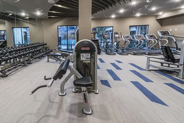 Fitness