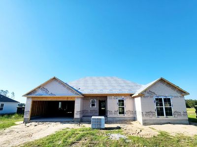 20 Ray Dr, Ray City, GA, 31645