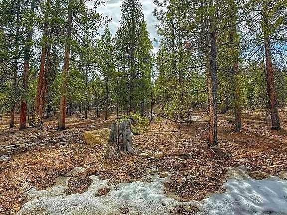 2nd image of 48 Mount Massive Road