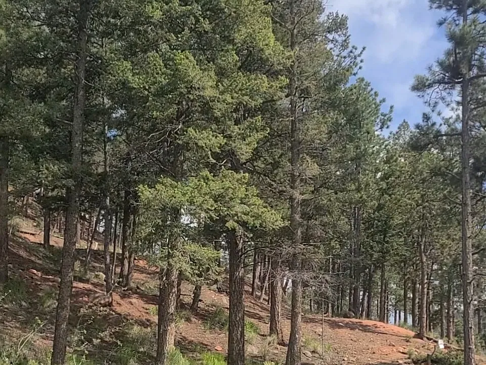 19253 E US Highway 24