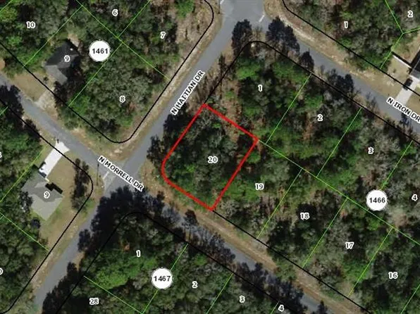 11009 N Morrell Dr #20, Dunnellon, FL 34434
