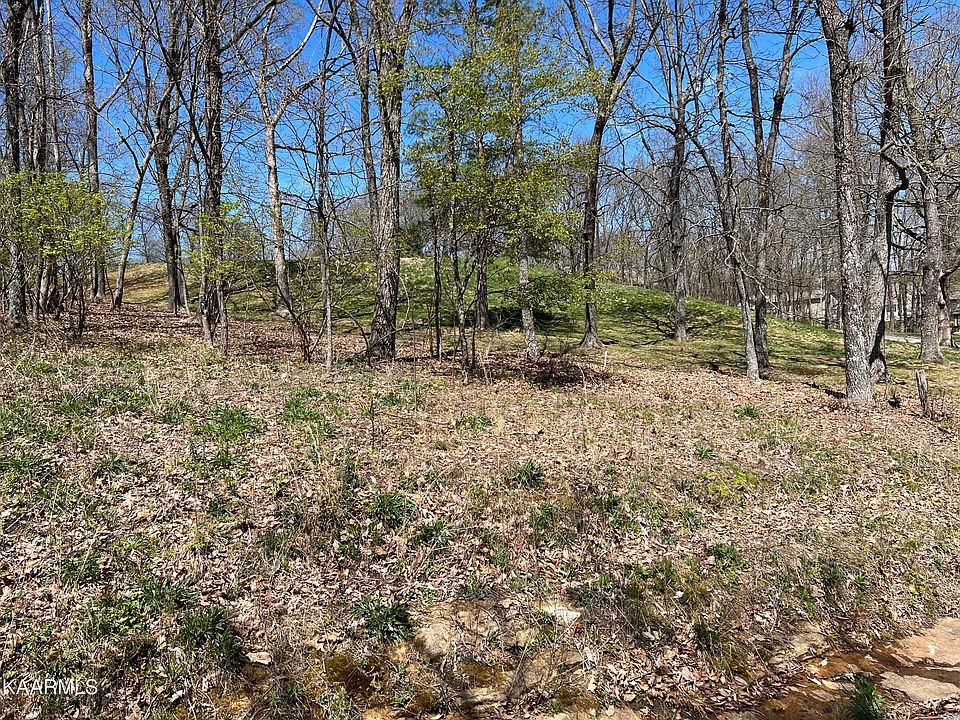 1st image of 137 Brokenwood Ln