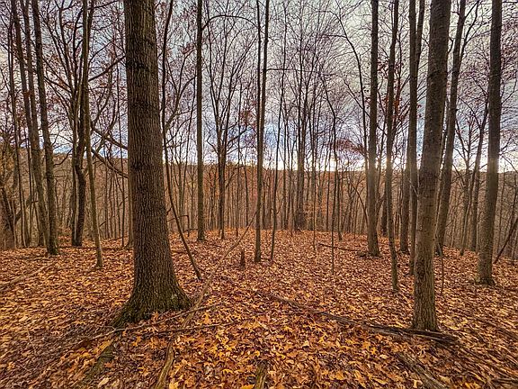 21st image of this home