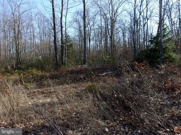 Tyrone Pike, Sandy Ridge, PA 16677