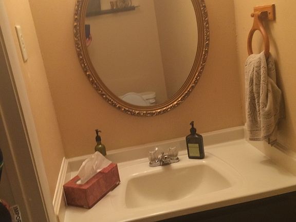 Elegant Guest Bath