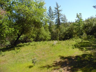 6101 Pappalardo Promenade, Murphys, CA, 95247