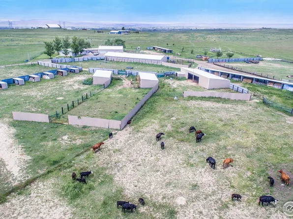 7557 County Road 100, Wellington, CO 80549