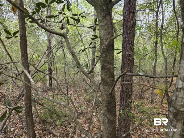 12287 Red Hill Road Ext, Bay Minette, AL 36507