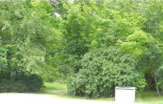 2nd image of 17 Indian Rock Rd