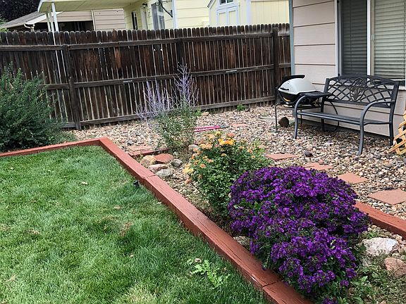 Landscaped back yard