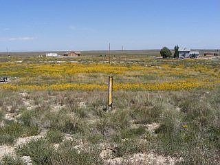 2nd image of 641 E Cholla Dr